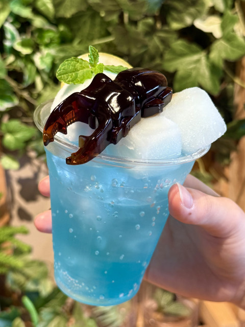昆虫ゼリー付きラムネフロート